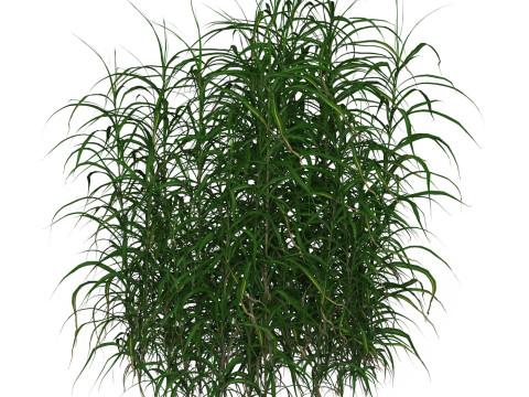 Game Ready Grass 09 3D Model