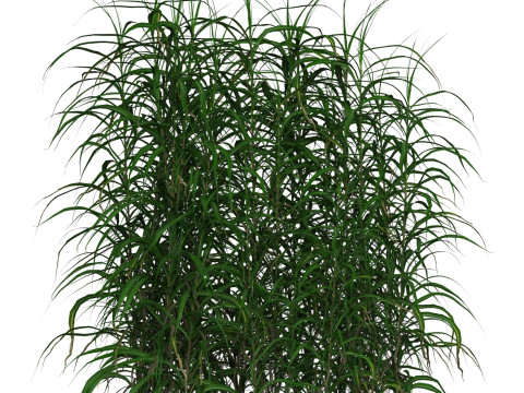 Game Ready Grass 09 3D Model