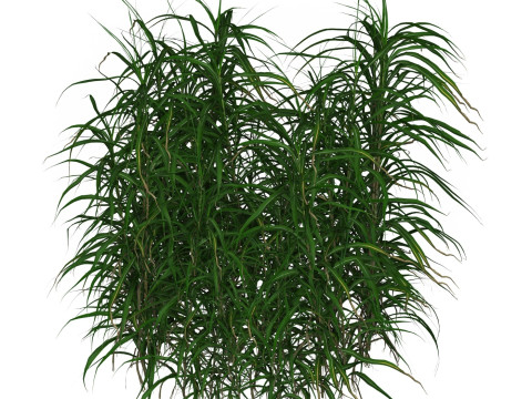 Game Ready Grass 09 3D Model