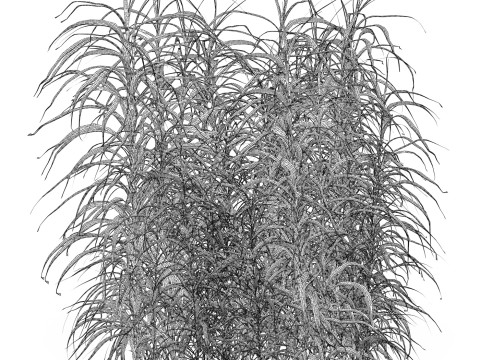 Game Ready Grass 09 3D Model