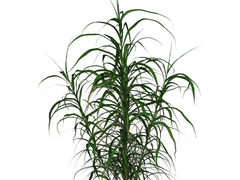 Grama pronta para jogo 10 Modelo 3D