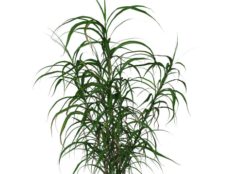 Game Ready Grass 10 3D 模型