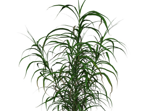 Game Ready Grass 10 3D 模型