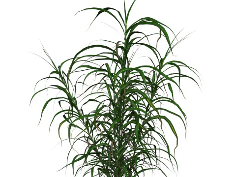 Gioco pronto Erba 10 Modello 3D