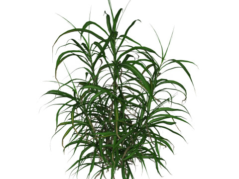 Game Ready Grass 10 3D 模型