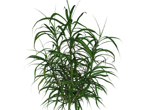 Gioco pronto Erba 10 Modello 3D