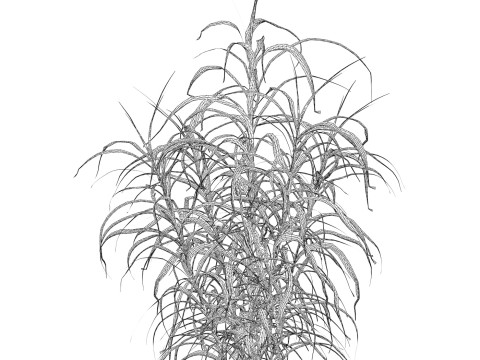 Game Ready Grass 10 3D 模型