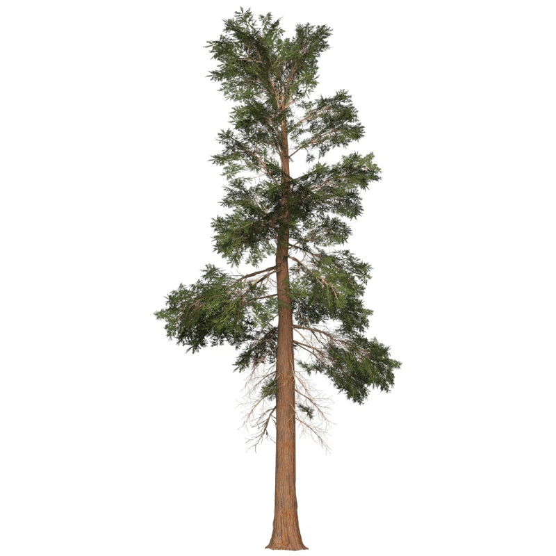 Game Ready Tree 22 3D Model .c4d .max .obj .3ds .fbx .stl .blend 