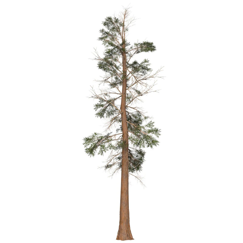 Game Ready Tree 23 3D Model .c4d .max .obj .3ds .fbx .stl .blend 