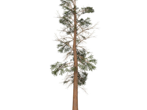 Game Ready Tree 23 3D मॉडल
