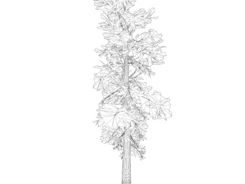 Game Ready Tree 23 3D Model
