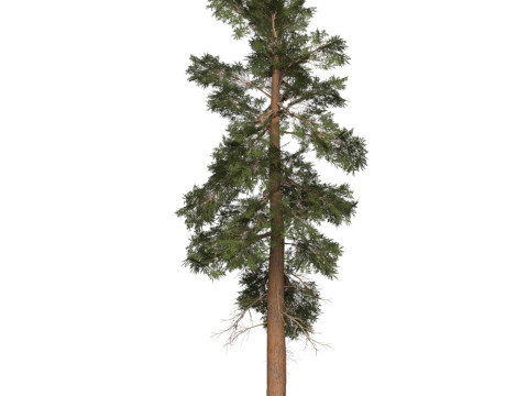 Game Ready Tree 24 3D मॉडल