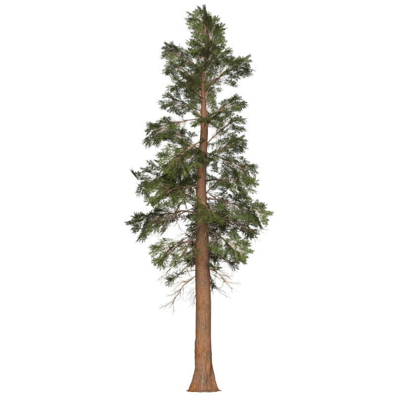 Game Ready Tree 26 3D मॉडल .c4d .max .obj .3ds .fbx .stl .blend 