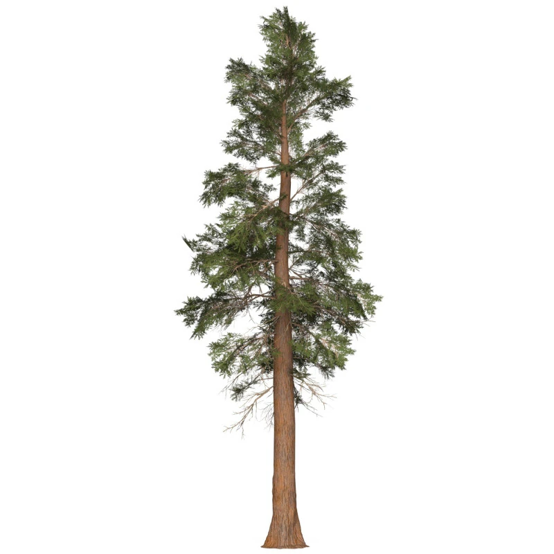 Game Ready Tree 26 3D Model .c4d .max .obj .3ds .fbx .stl .blend 