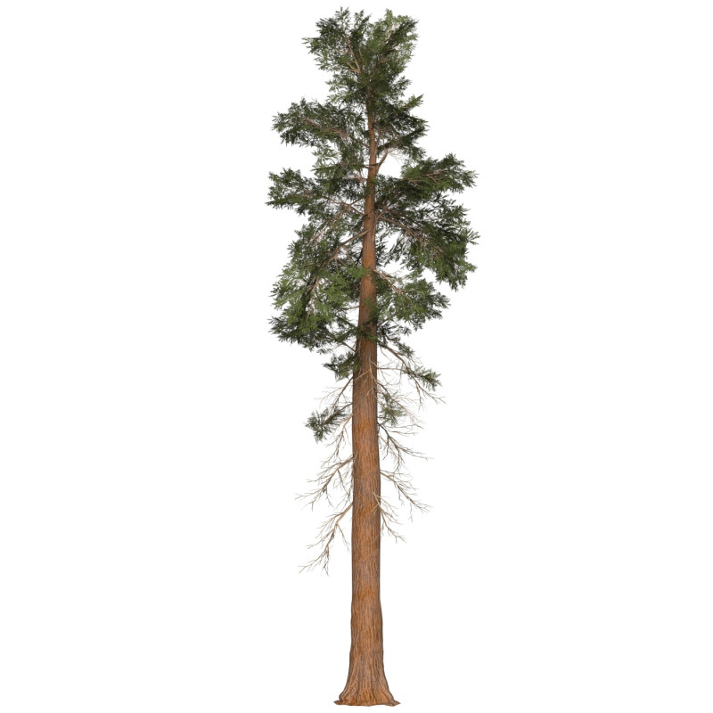 Game Ready Tree 27 3D Model .c4d .max .obj .3ds .fbx .stl .blend 