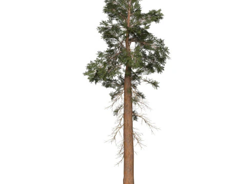 &Aacute;rvore pronta para jogo 27 Modelo 3D