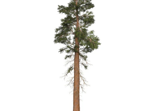 &Aacute;rvore pronta para jogo 27 Modelo 3D