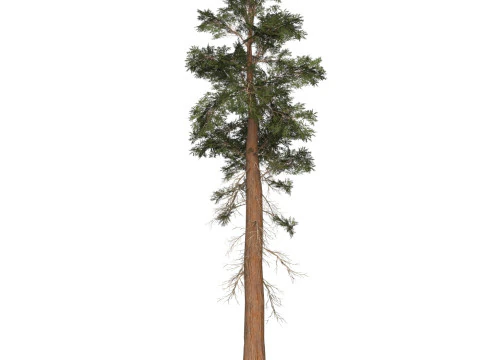 &Aacute;rvore pronta para jogo 27 Modelo 3D