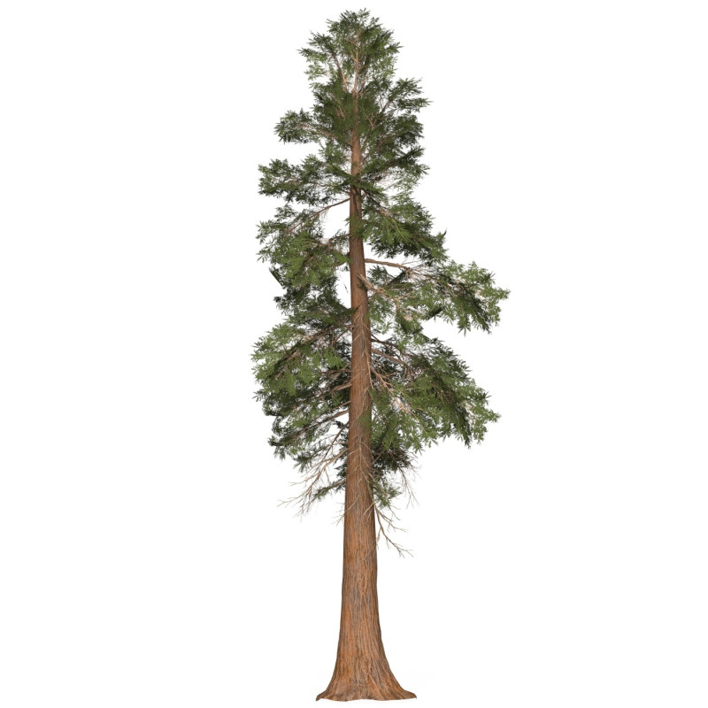 Game Ready Tree 28 3D Model .c4d .max .obj .3ds .fbx .stl .blend 