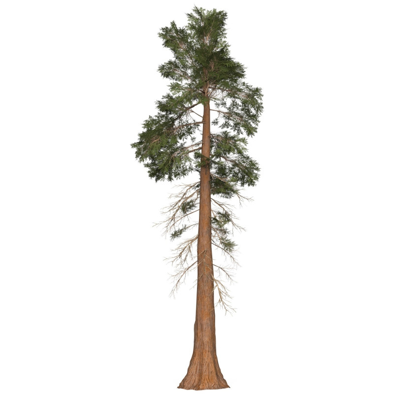 Game Ready Tree 29 3D 모델 .c4d .max .obj .3ds .fbx .stl .blend 