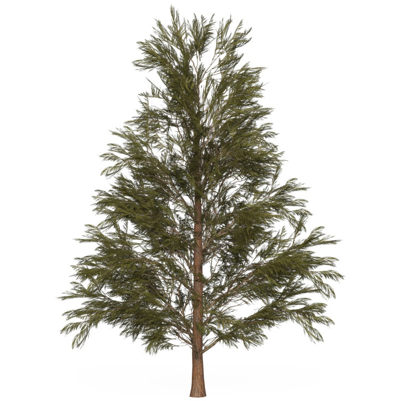 Game Ready Tree 31 3D Модель .c4d .max .obj .3ds .fbx .stl .blend 