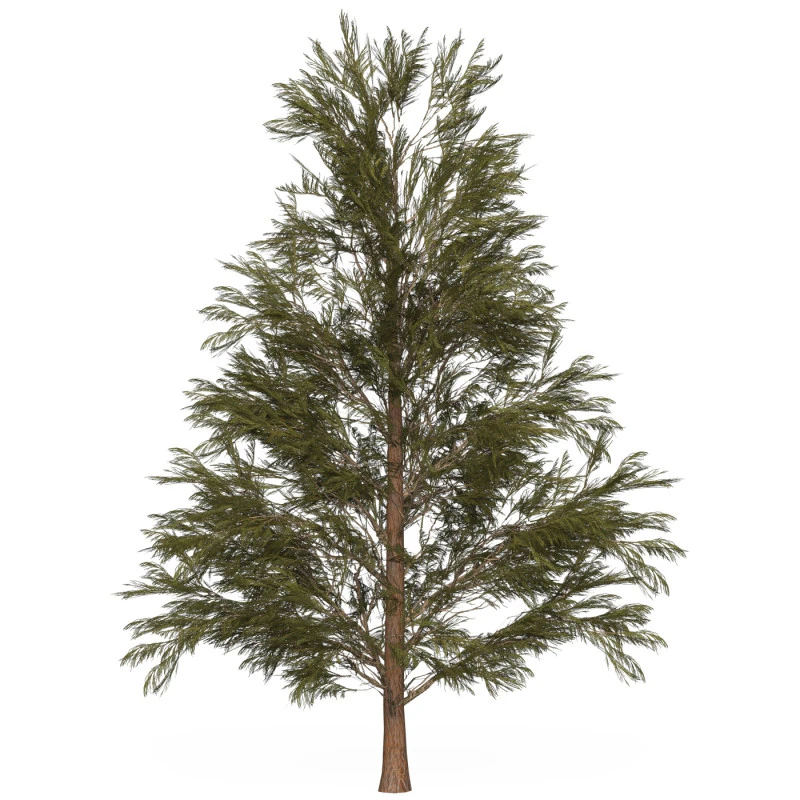 Game Ready Tree 31 3D Model .c4d .max .obj .3ds .fbx .stl .blend 
