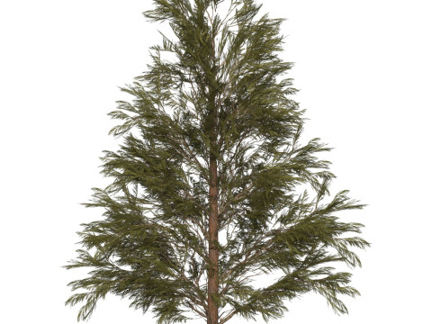 Game Ready Tree 31 3D मॉडल