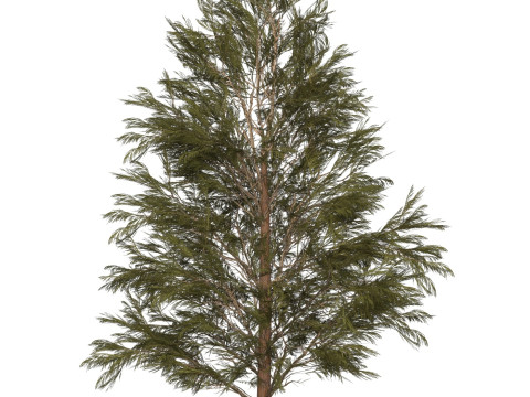 Game Ready Tree 31 3D Модель