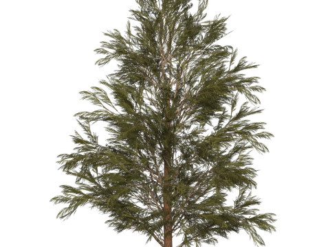 Game Ready Tree 31 3D Модель