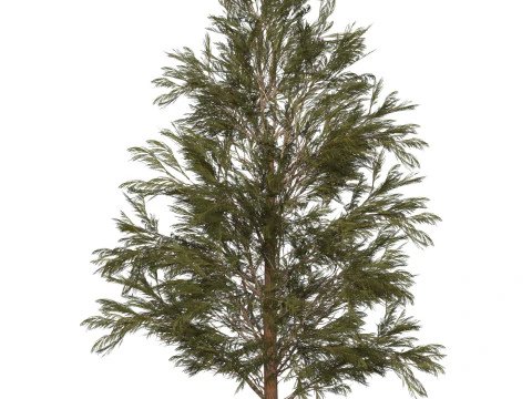 Game Ready Tree 31 3D Model