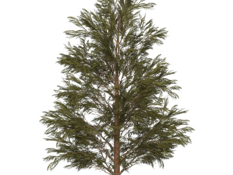 Game Ready Tree 31 3D Модель