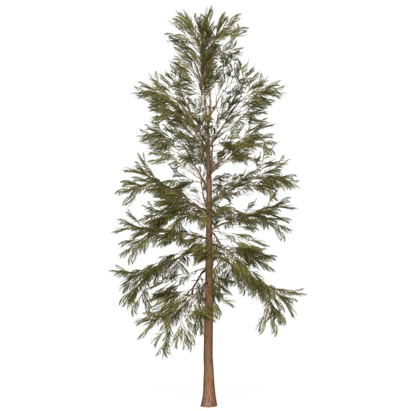 Game Ready Tree 32 3D Model .c4d .max .obj .3ds .fbx .stl .blend 