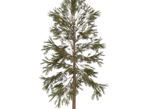 Game Ready Tree 32 3D मॉडल