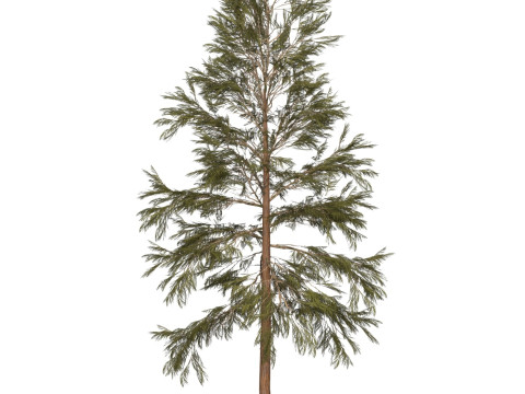 Game Ready Tree 32 3D 모델