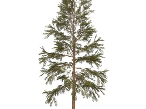 Game Ready Tree 32 3D Model