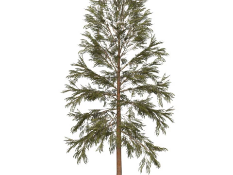 Game Ready Tree 32 3D Model