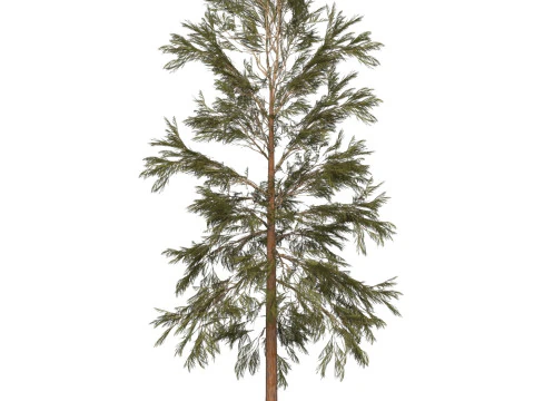 Game Ready Tree 32 3D Model