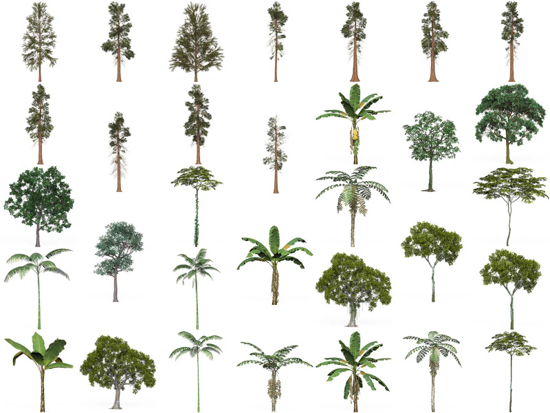 32 Game Ready Tree Collection 3D Model .c4d .max .obj .3ds .fbx .stl .blend 