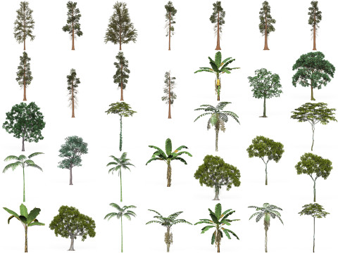 32 Game Ready Tree Collection 3D मॉडल