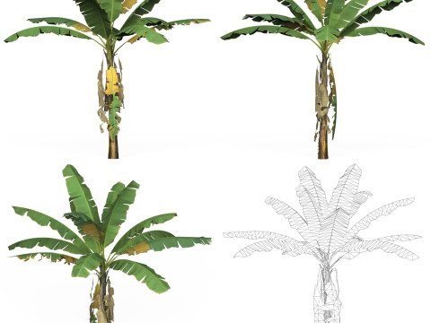 32 Game Ready Tree Collection Modelo 3D