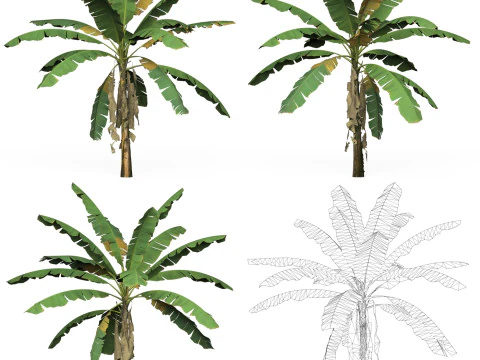 32 Game Ready Tree Collection 3D Model