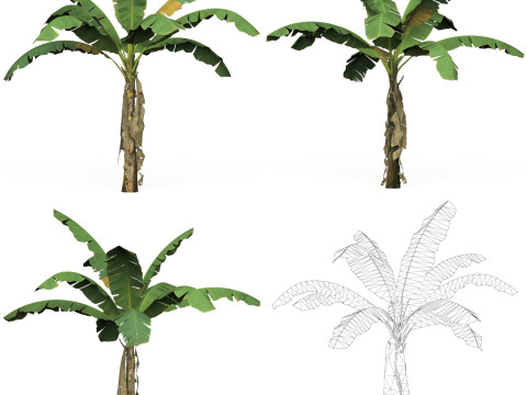 32 Game Ready Tree Collection Modelo 3D