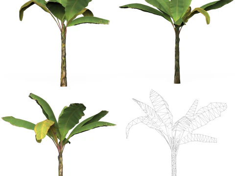 32 Game Ready Tree Collection 3D Model