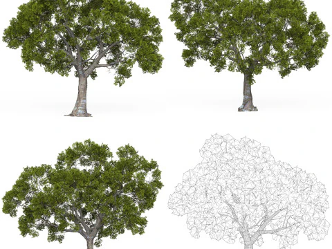 32 Game Ready Tree Collection 3D Model