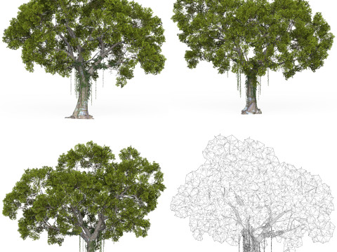 32 Game Ready Tree Collection Modelo 3D
