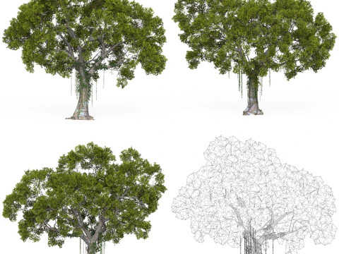 32 Game Ready Tree Collection 3D Model