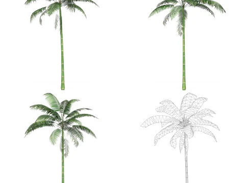 32 Game Ready Tree Collection 3D Model