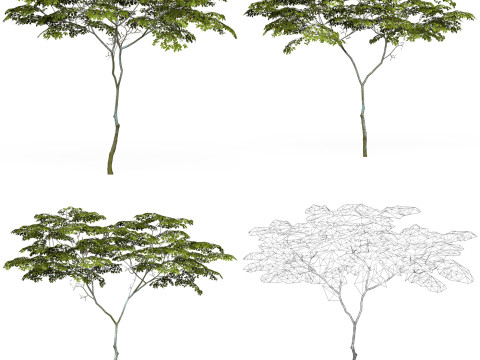 32 Game Ready Tree Collection Modelo 3D