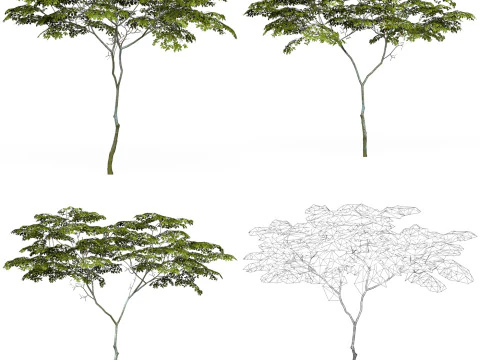 32 Game Ready Tree Collection 3D Model
