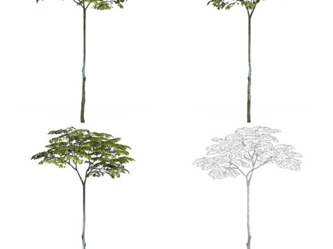 32 Game Ready Tree Collection Modelo 3D